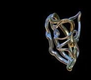 ABI早鸟开票|命运的缺席早鸟票限时开抢 博文精选 ABI 崇真艺客